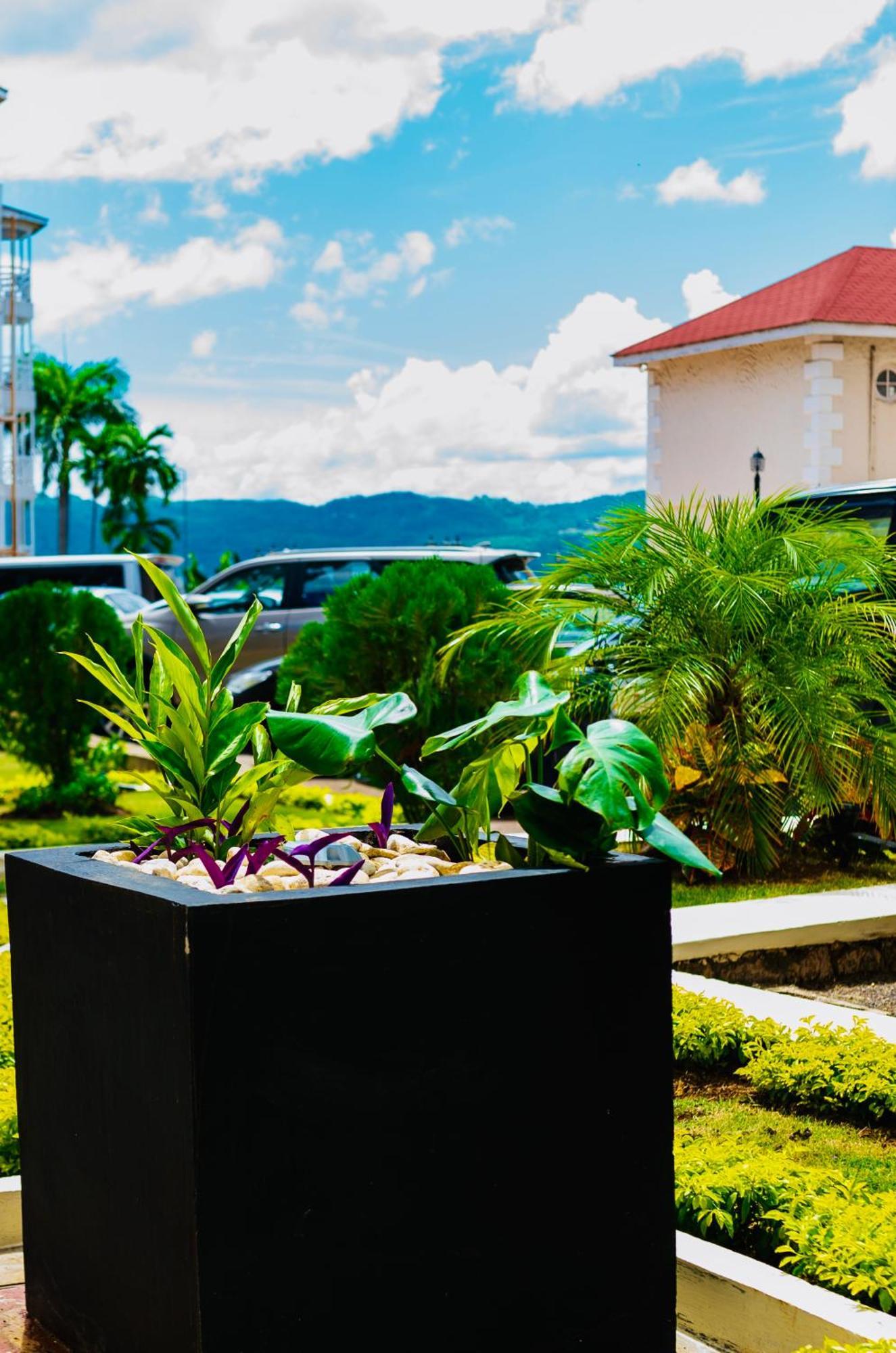 Falcon Shoreline- Airport Pickup Available - Gated-Security Montego Bay Exterior photo